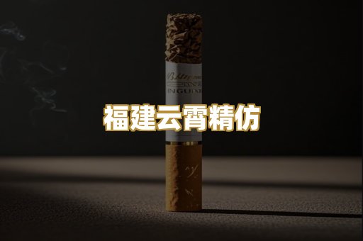 福建云霄精仿
